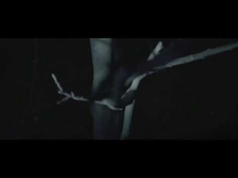 Black Crucifixion: Millions of Twigs Guide Your Way Through the Forest (official video)