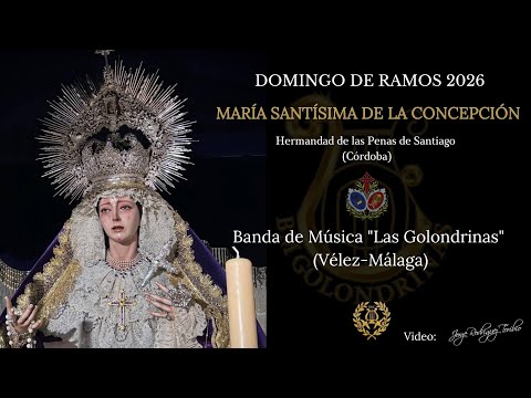 STMO CRISTO DE LAS PENAS Y NTRA SRA DE LOS DESAMPARADOS. VIRGEN DE LA CONCEPCIÓN. DOMINGO DE RAMOS