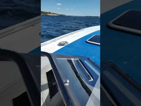 Avanti Magnum 31 offshore 496HO V8 VP #boatlife #boating #powerboat