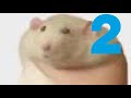 RATATOUILLE YOU USELESS RODENT THE FINALE
