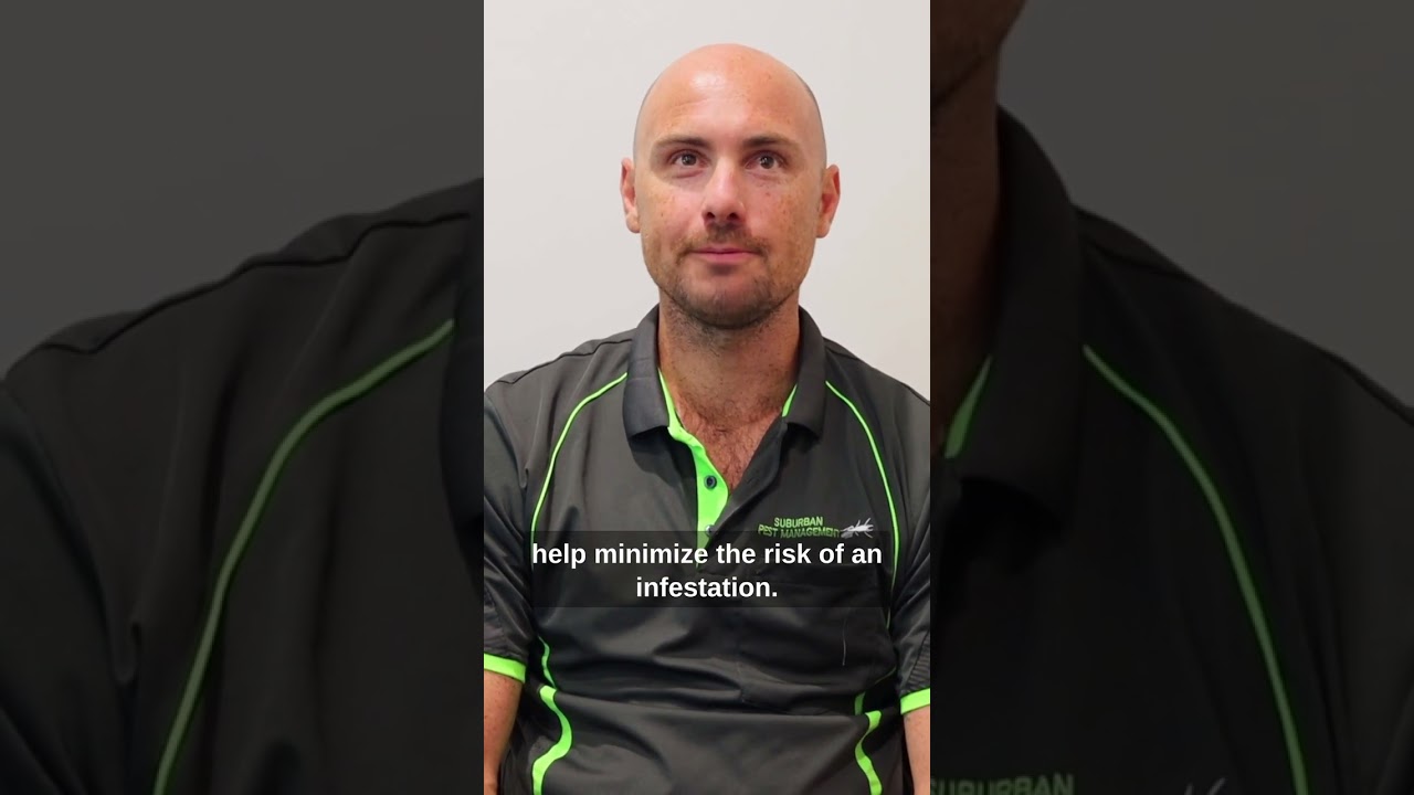 Should I clean the house before pest control