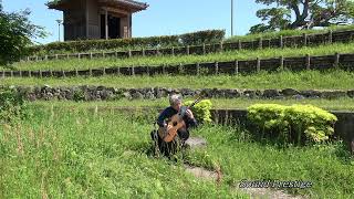 関谷静司ギターソロ！曲名　ひまわりH マンシーニ　場所　石井樋公園（さが水ものがたり館）真空管機材レコーディング　classicalguitar