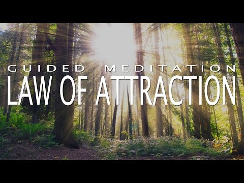 Law of Attraction Meditation for Deep Positivity & Abundance (Guided Meditation)