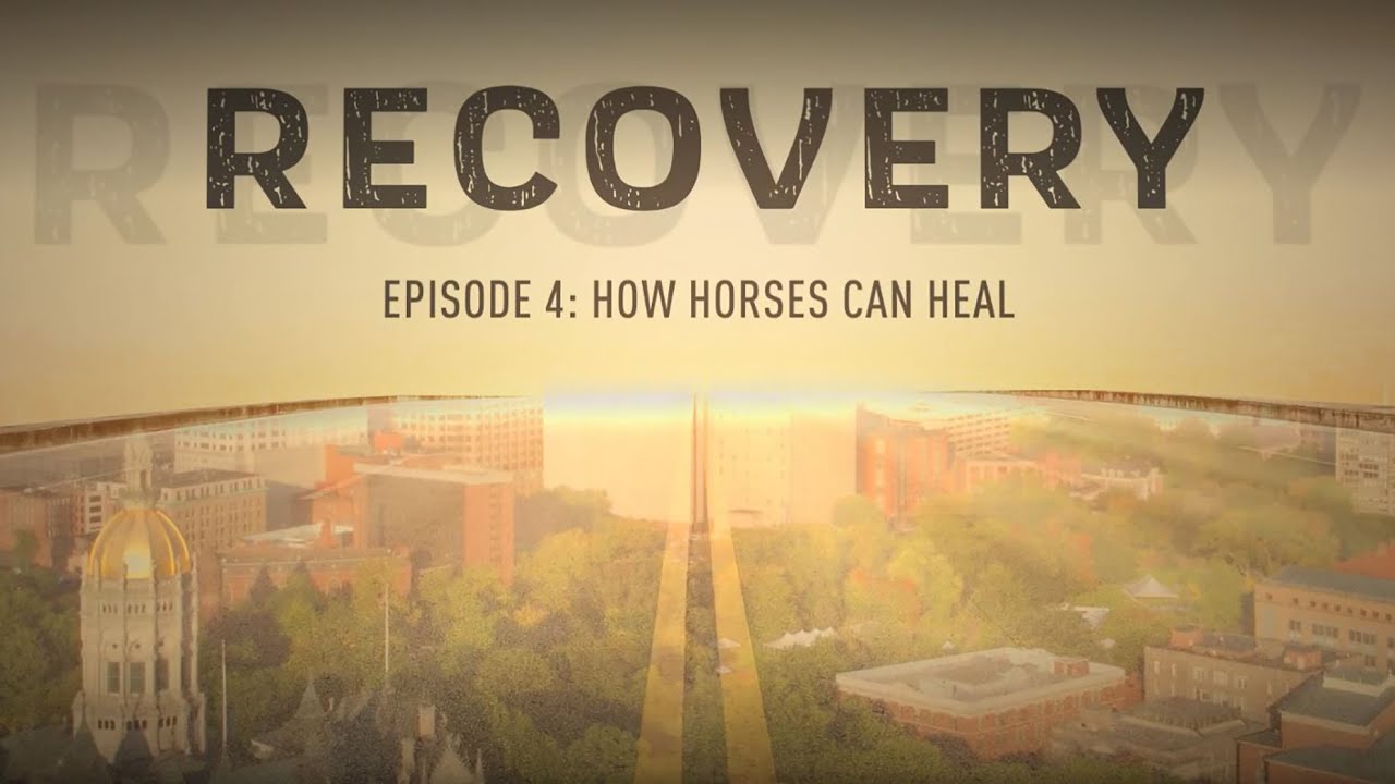 Recovery Episode 4: How Horses Can Heal