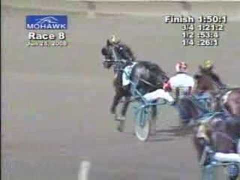 Tidewaterdragonfly - 2008 Roses Are Red