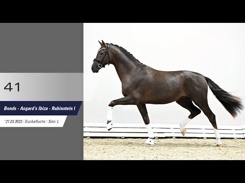 41 Hengst v Bonds - Asgard's Ibiza