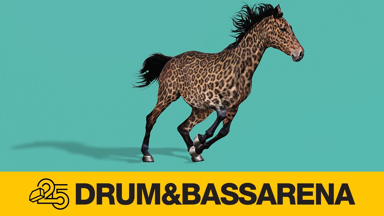 LTJ Bukem - Flip the Narrative