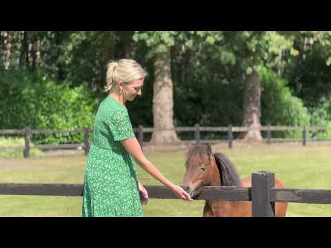 Discover this splendid country house in Turnhout