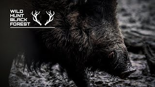 Erfolgreiche Sauenpirsch bei Nacht/Wildboarhunt - Nachtschicht #1 - WildHuntBlackForest