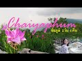 Roaming around Chaiyaphum, Thailand เที่ยวชัยภูมิ 2วัน 1คืน วิวสวยมาก ต้องลองไปดูให้ได้เลย! Roaming around Chaiyaphum, Thailand เที่ยวชัยภูมิ 2วัน 1คืน วิวสวยมาก ต้องลองไปดูให้ได้เลย!