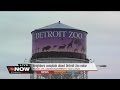 The Now Detroit Neighbors Complain About Detroit Zoo Noise