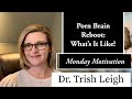 Porn Brain Rewire What Is It Like NoFap PMO 2021 With Dr Trish Leigh