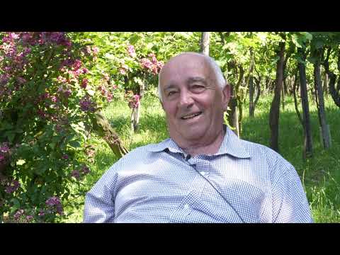 A Cantina: a vinícola da Serra