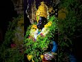Vitthal Namacha Re Taho Shree Vitthal Whatsapp Status