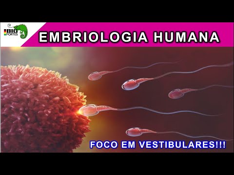 EMBRIOLOGIA HUMANA