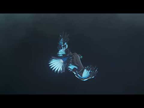 Catchme Tv-Reel-Series-Movies