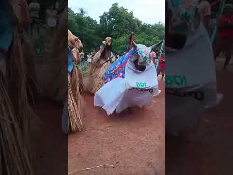 Apresentação de reisado, em Boa Hora -PI