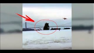 5 гигантских существ снятых на камеру
