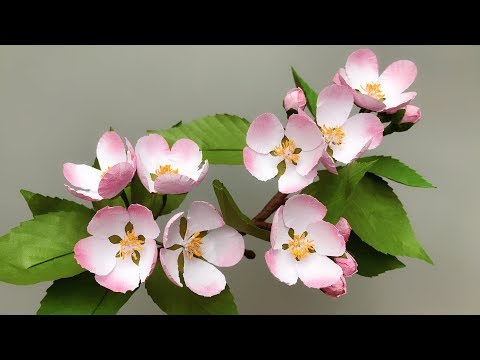 ABC TV | How To Make Apple Blossom Paper Flower With Shape Punch - Craft Tutorial