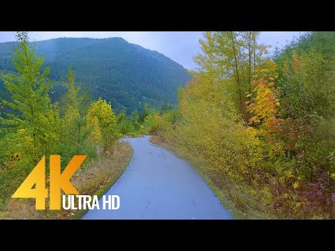 Fall Scenic Drive in 4K - Autumn Foggy Forest Road - Episode #4 (WITH MUSIC)