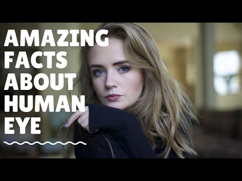 15 Interesting Facts About The Human Eye