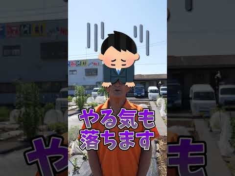 庭を雨から守る方法