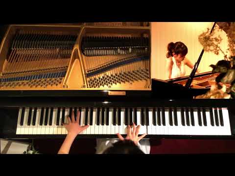 CHRONO TRIGGER『To Far Away Times』Piano Cover クロノトリガー 遙かなる時の彼方へ ピアノ