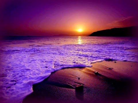 SEMATA 2016° mole nai toe soli