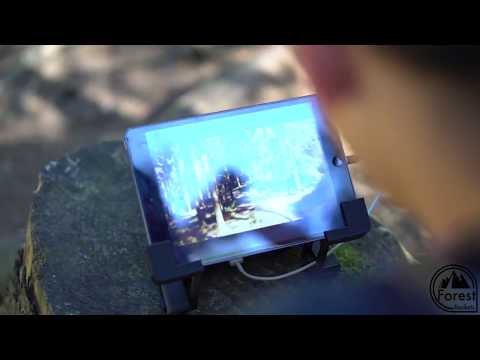 Ladies Only Deister | ForestRockets