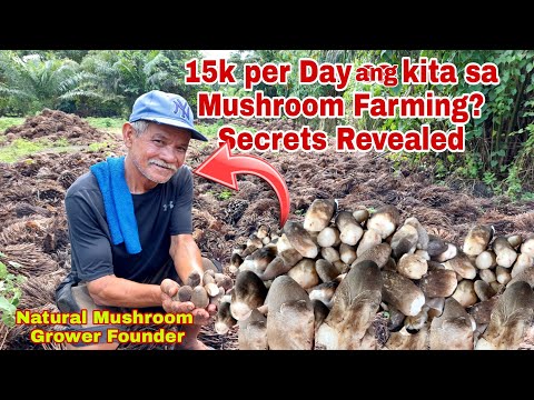 Founder ng Natural Mushroom Farming Kumikita ng malaki sa Mushroom