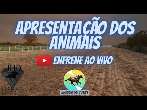 ENFRENE IV GP NATALINO