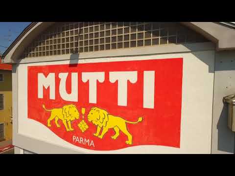 Tomato Processing Lines | Processing Equipment Food & Beverage