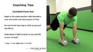 245. Dumbbell Plank Row