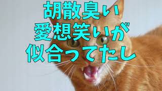 【映画トリリオンゲームを観た感想】景気の良い話で面白かった