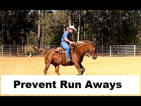 Control your horse's energy. Prevent run away horses. Run hard then stand still.