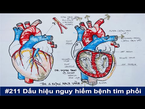 Những dấu hiệu nguy hiểm của bệnh tim mạch, bệnh phổi, và bệnh thận