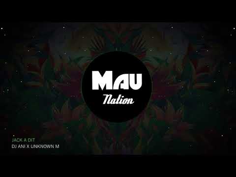 JACK A DIT - DJ ANI FT UNKNOWN M ( MOOMBAHTON EDIT 2K17 )