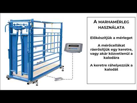 Szarvasmarha mérleg 4000kg