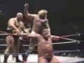 Video Song Hulk Hogan