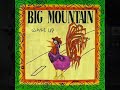 Big Mountain    Light'n Up   1992