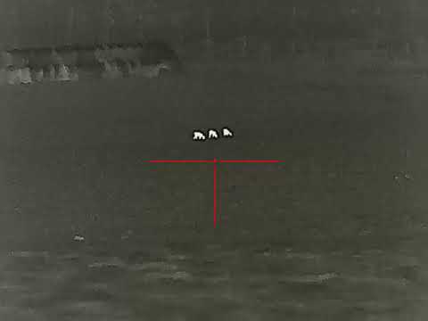 Liemke Sperber 1 Thermalzielfernrohr