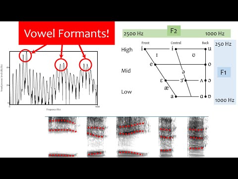 Speech Acoustics 5 - vowel formants