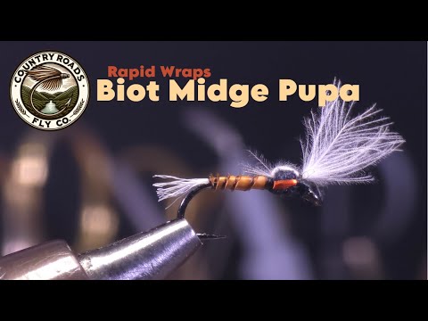 Biot Midge Pupa