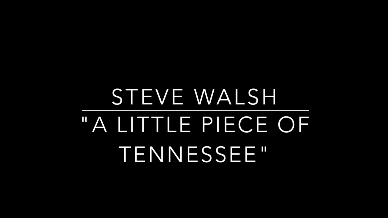 Steve Walsh "A Little Piece of Tennessee" w/ Andy Hess + Ethan Eubanks Brooklyn NY Dec 2018