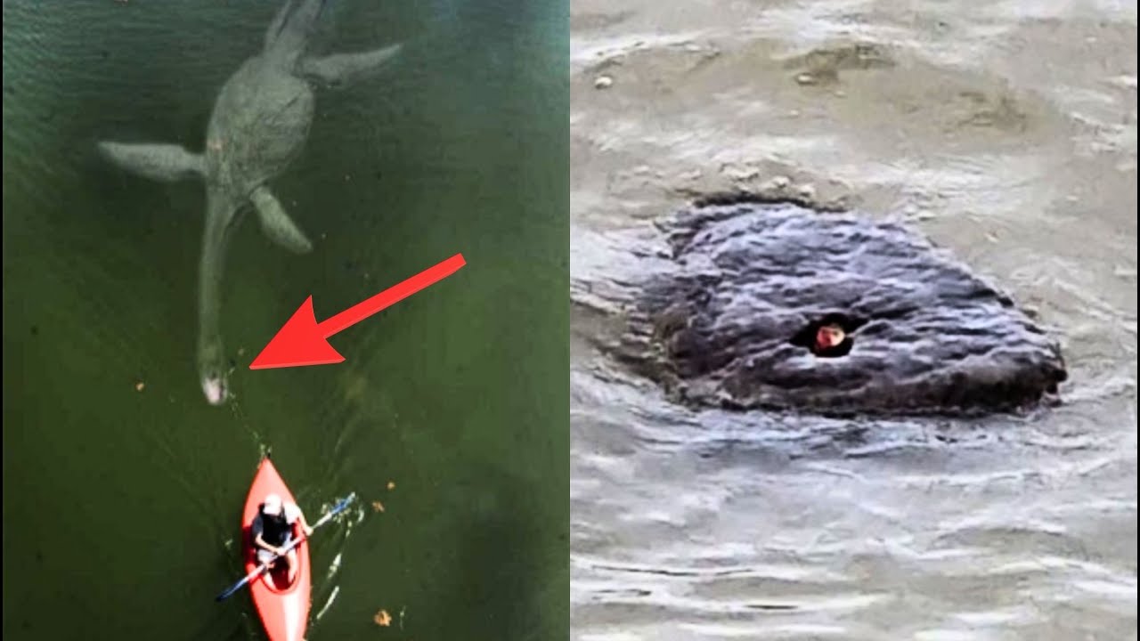 SE REVELA LA VERDAD del MONSTRUO del LAGO NESS tras 52 AÑOS de BÚSQUEDA