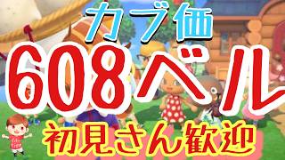 【あつ森】カブ価608ベル島や525ベル島などライブ参加型