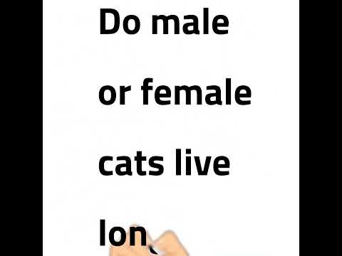 Do male or female cats live longer? Do male cats live longer than female?