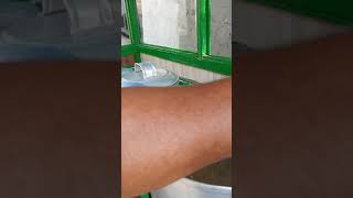 Download lagu Sarapan Sehat Bubur Kacang Hijau #Shorts mp3 Download lagu Sarapan Sehat Bubur Kacang Hijau #Shorts mp3