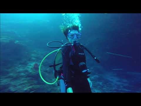 Cozumel - Diving Devils Throat - July 2020