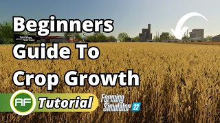 Growth Stages For Wheat & Ready To Harvest - Farming Simulator 22 Beginners Guide